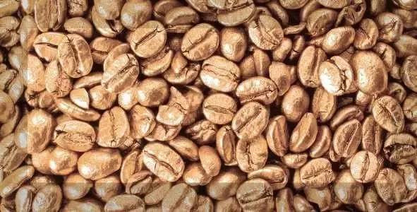 Декор настенный Absolut Keramika Monocolor 10х20 Biselado Decor Coffee Beans 02