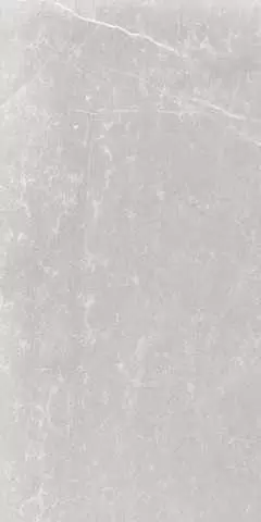 Керамогранит Cerdomus Mexicana 65282 Silver Nat Ret 60x120