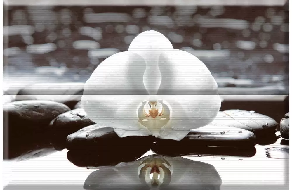 Панно настенное Absolut Keramika Aure Wellness white White 01 комплект из 2х шт.