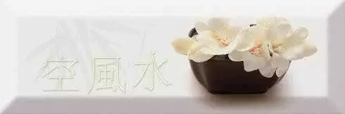 Декор настенный Absolut Keramika Japan Tea / Olives / Tea Fosker Decor Japan Tea 04 A