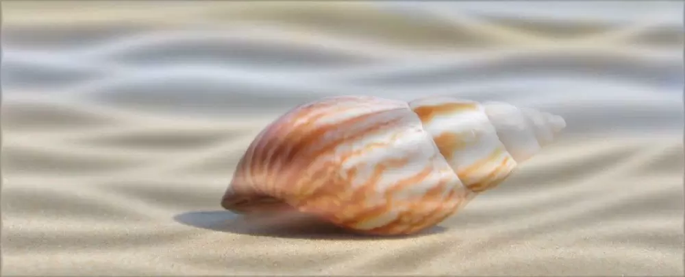 Декор настенный Cerrol Durango Playa A Centro Wave
