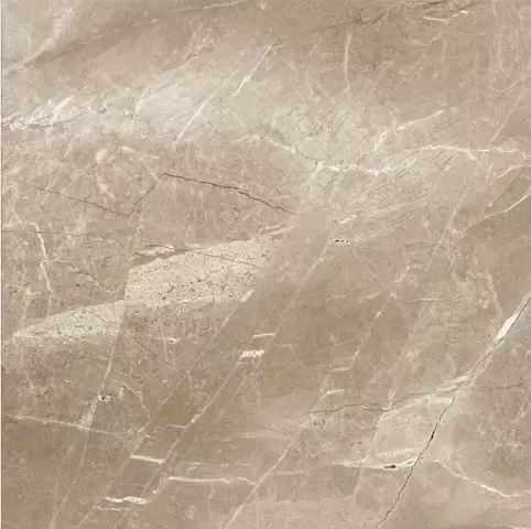 Плитка из керамогранита Kashmir taupe для стен и пола, универсально 60x60