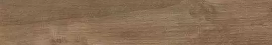 Керамогранит Atlas Concorde Italy Etic Rovere Grigio Tatami