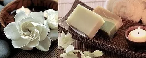Декор настенный Ibero Charme Dec.Natural A