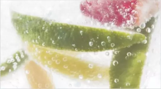 Керамическая плитка Dec Mojito 2 Декор 25x45