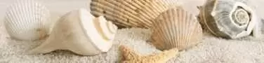 Бордюр настенный Golden Tile Саммер стоун Бежевый