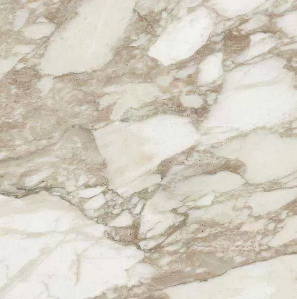 Керамогранит Rex Ceramiche I Bianchi Calacatta luc.60x60