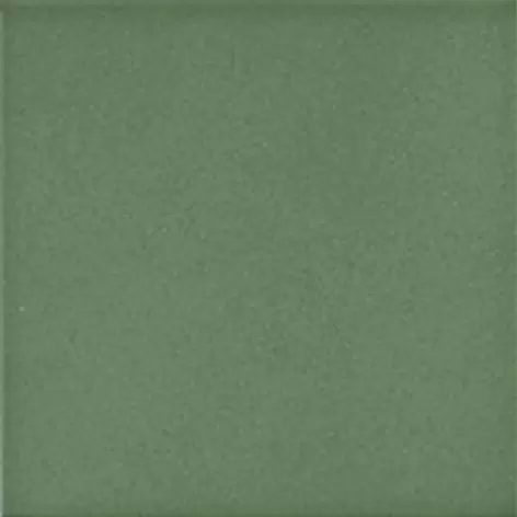 Керамическая плитка Colore C&C C8 20 для стен 20x20