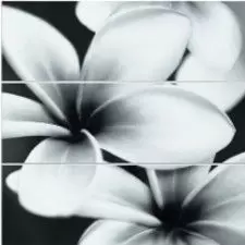 Панно настенное Mei Pret a Porte Спецэлемент стеклянный Universal Glass Flowers