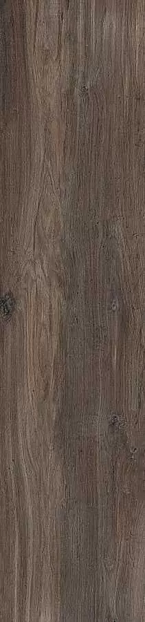 Керамогранит Ariana Ceramica Legend Brown Ret 40X170