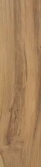 Керамогранит Atlas Concorde Italy Etic Pro Rovere Venice
