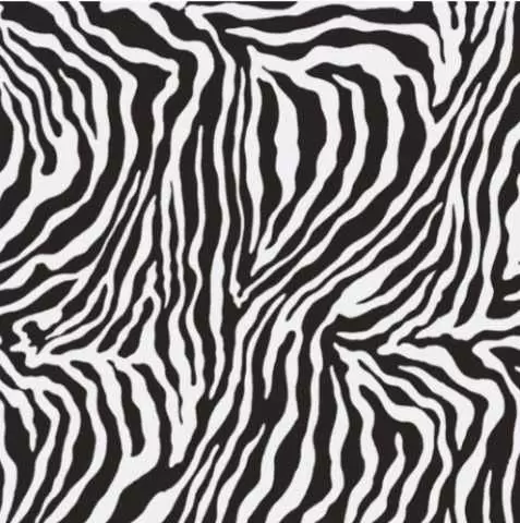 Керамогранит Ape Moonlight Polished Rec Zebra