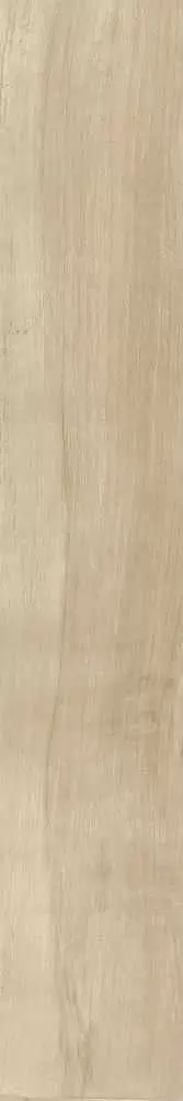 Керамогранит Cerdomus Antique Oak Fondi Nat. Rett.