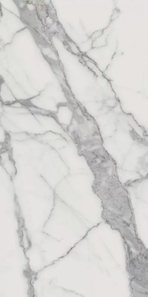 Керамогранит Italon Charme Evo Floor Project Статуарио 60x120 Натуральный и Реттифицированный