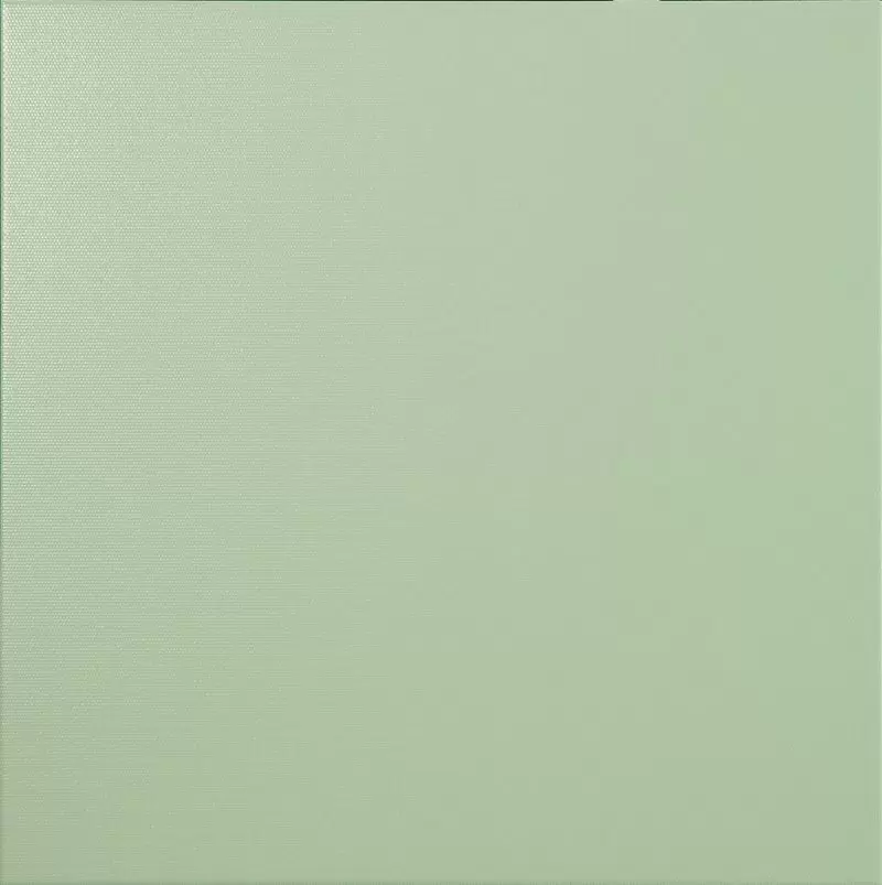 Керамическая плитка Brazil Orchiee D-Color Apple для пола 40,2x40,2