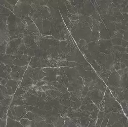 Керамогранит Baldocer Bplus 120x120 Fox Graphite Natural