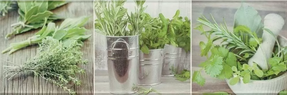 Декор настенный Ceramica Konskie Salerno Кухня стекло 1