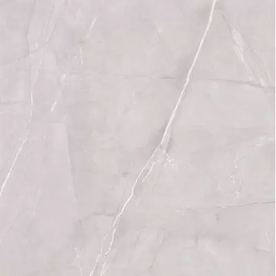 Керамогранит LeeDo - Marble Porcelain Pulpis grigio POL 60x60 см, полированный (Pulpis grigio POL 60x60 полированный)