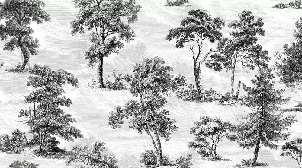 Плитка настенная Vallelunga Decorandum Saltus