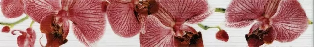 Бордюр настенный PiezaROSA Fiori Cen. Орхидея