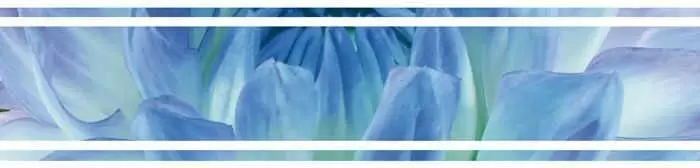 Бордюр настенный Cerrol Bellini Azul Listwa 6