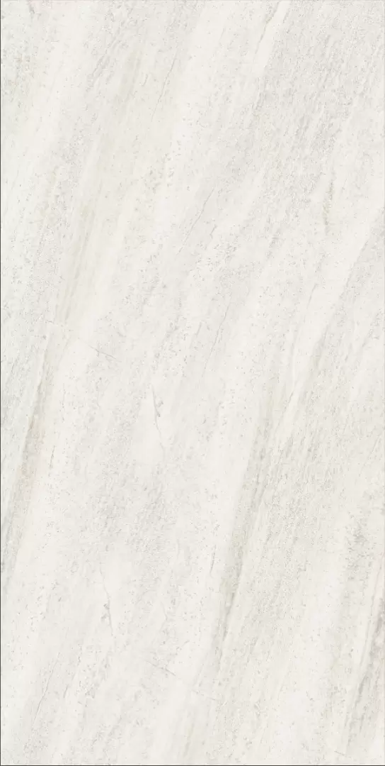 Плитка из керамогранита SERIES JLBS1260RE4P для стен и пола, универсально 60x120