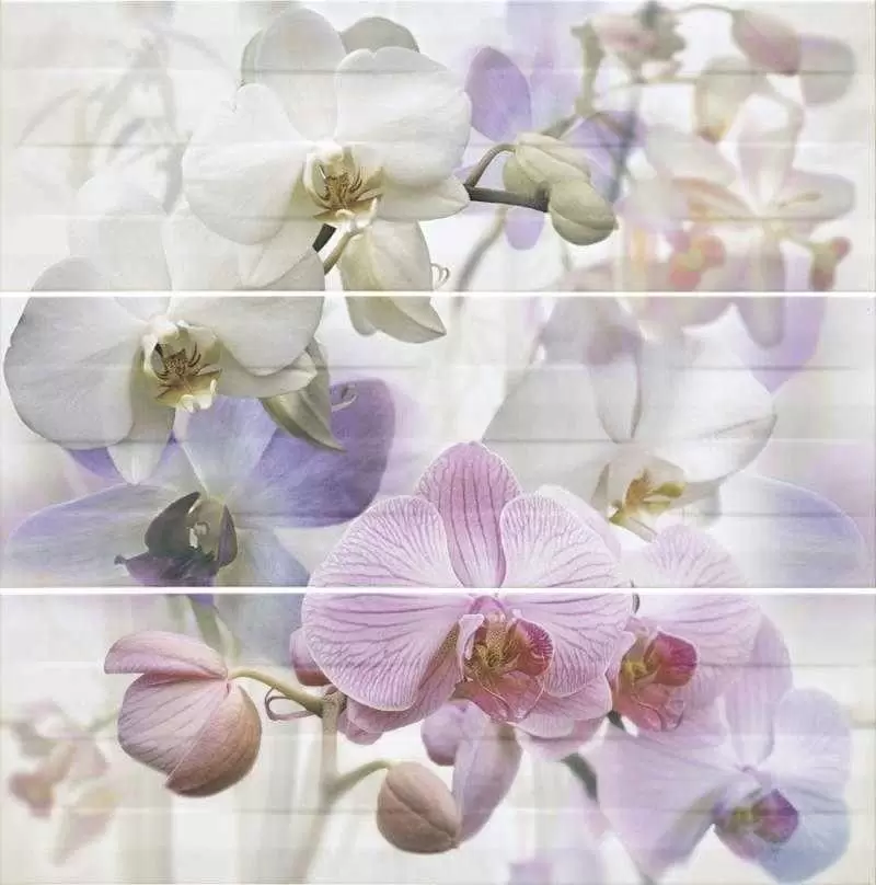 Панно настенное Mallol Paris Decor Orquidea-3