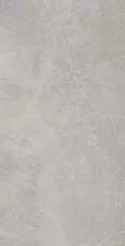 Керамогранит Baldocer Bplus Bayona Silver Natural