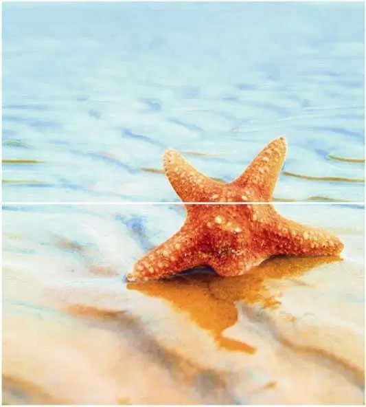 Панно настенное Ceradim Starfish Dec Panno 1