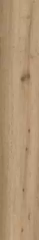 Керамогранит Ragno Woodstory Beige