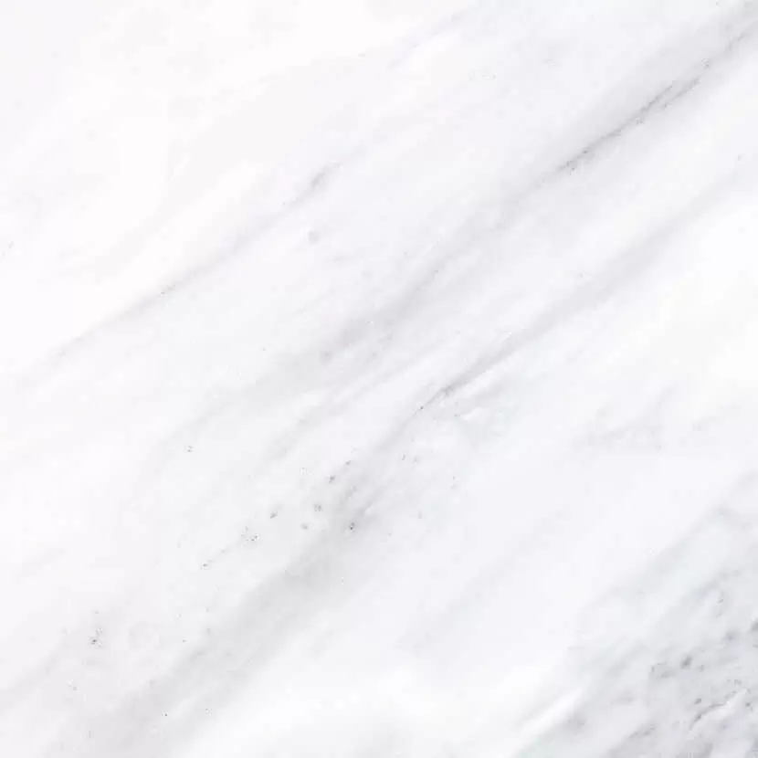 Керамогранит Gaya Fores Statuario Blanco Blanco 45