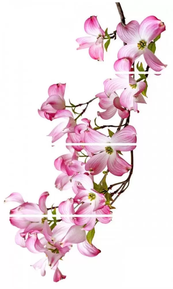 Панно настенное Cerrol Formula Jardin x4