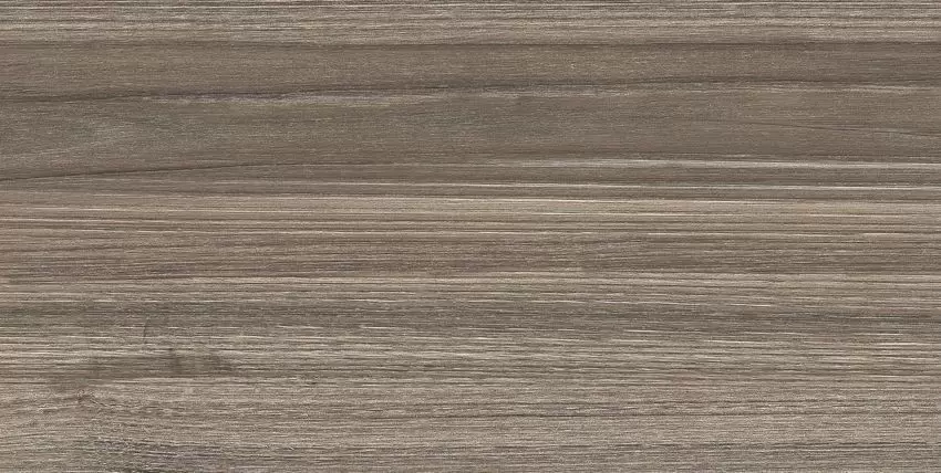 Керамическая плитка Essense Brown WT9ESS08 для стен 24,9x50