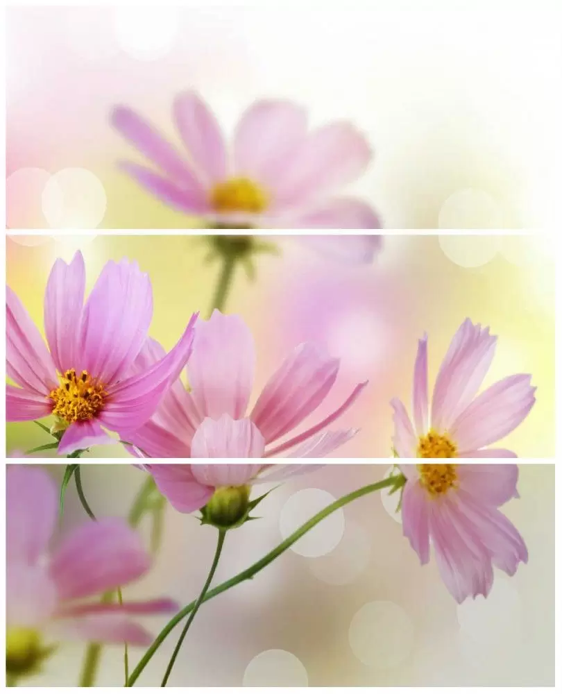 Панно настенное Cerrol Formula Flores x3