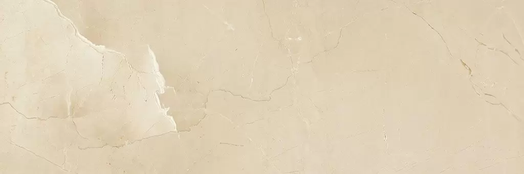 Керамическая плитка PASSION R90 CHAMPAGNE для стен 30x90