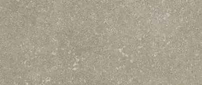 Керамогранит Kerlite Buxy Perle Natural 100x50