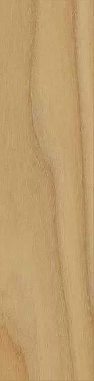 Плитка напольная Italon Element Wood Олмо 7.5x30 Натуральный