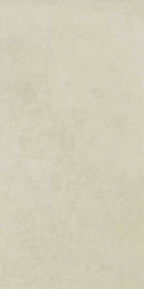 Керамогранит Italon Terraviva Moon 45x90