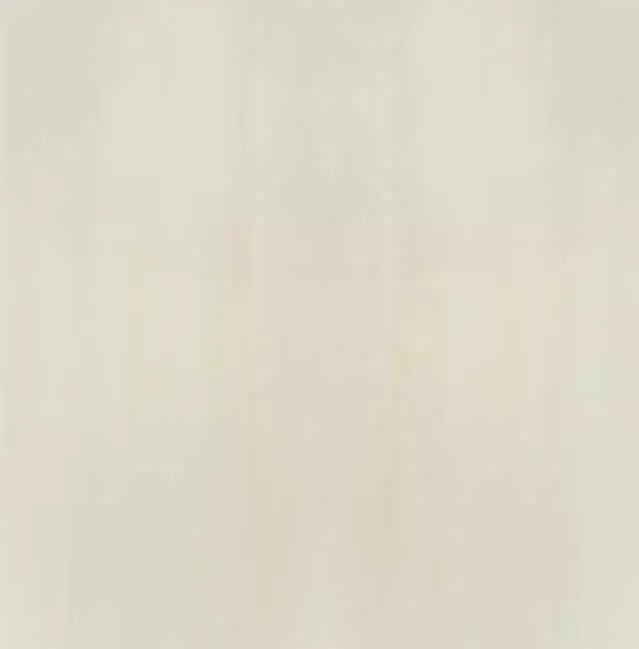 Плитка напольная Polcolorit Savio beige C 2