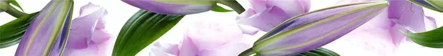 Бордюр настенный Cerrol Imperia Violetta Listwa