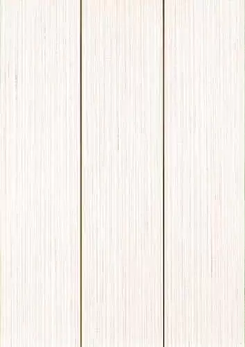 Декор настенный Sanchis Forma Precorte10 Forma blanco декор