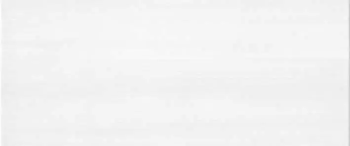 Плитка настенная Cerrol Porto bambu and orchid Porto biale 60x25