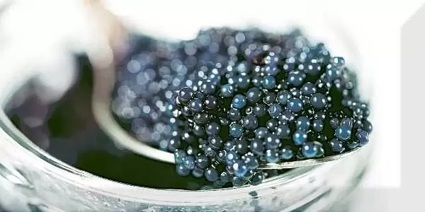 Декор настенный Absolut Keramika Monocolor 10х20 Biselado Decor Black Caviar 03