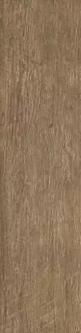 Керамогранит Atlas Concorde Italy Axi Brown Chestnut R10