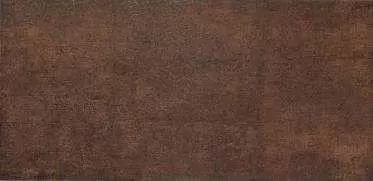 Керамогранит Ariana Ceramica Metalgres Bronzo 29X59