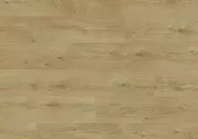Натуральный лакированный дуб