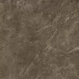 Керамогранит Baldocer Bplus 120x120 Bayona Moka Pulido