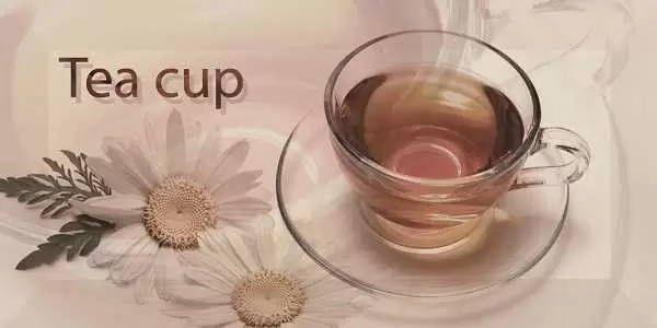 Декор настенный Monopole Breakfast Manzanilla
