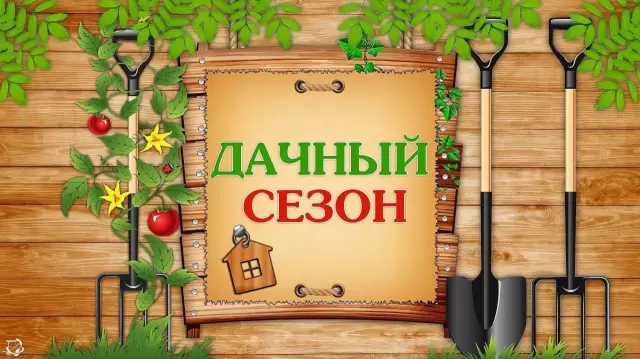 Дачный сезон открыт!