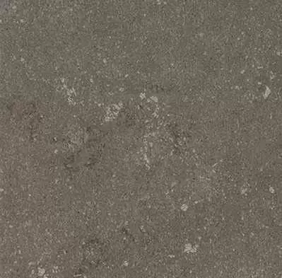 Керамогранит Kerlite Buxy Cendre Natural 100x100